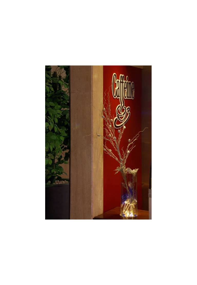 Golden Tulip Amritsar 