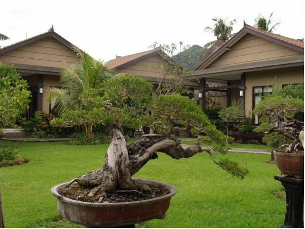 Doubleyou Home Stay 1* Индонезия, Бали