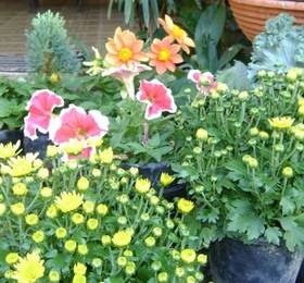 Sarabu Guest House  в Чиангмае