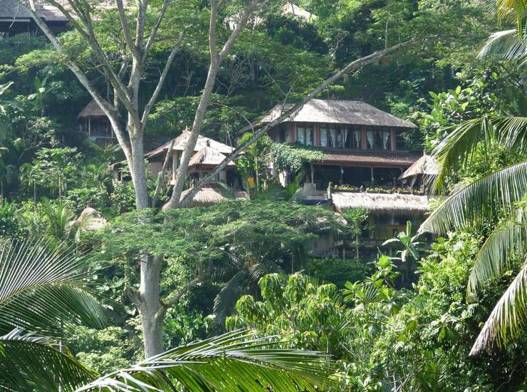 Green Spirit Villa 2* Индонезия, Убуд