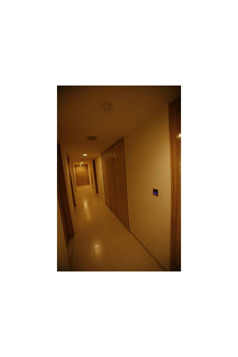 Mango Suite - Apex 