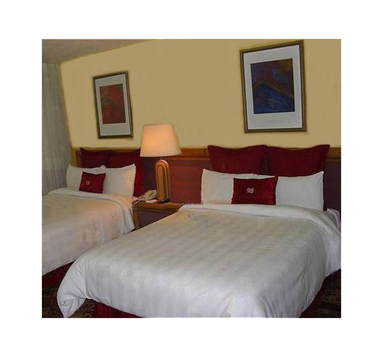 Hotel Udhav Palace 