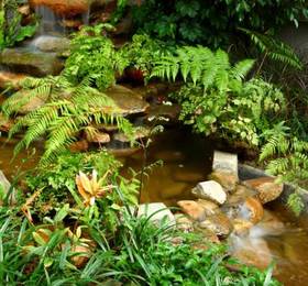 Ruen Ariya Resort  в Маэ-Риме