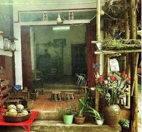 Sapa Backpackers  в Сапе