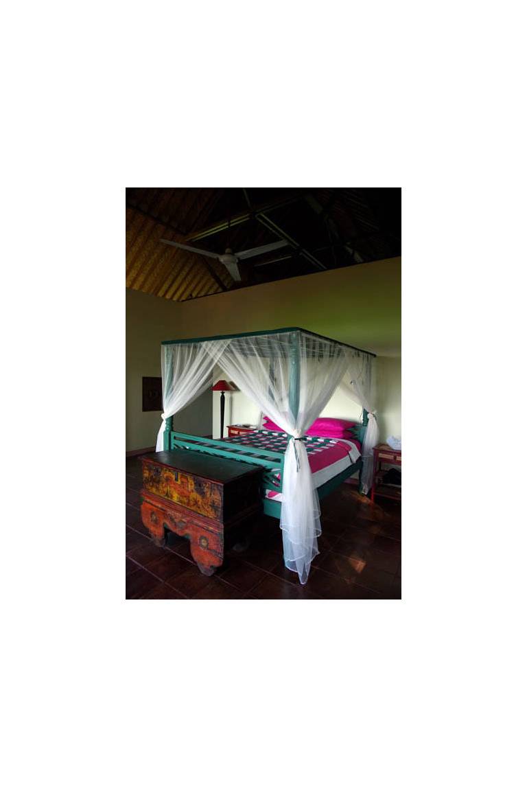 Villa Capung Mas 