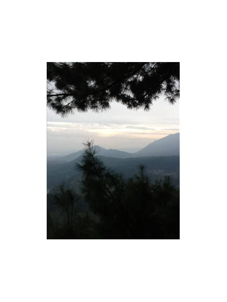 Gulmarg Meadows 