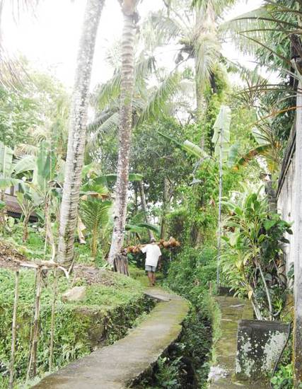Villa Puja Ubud  2* Индонезия, Убуд