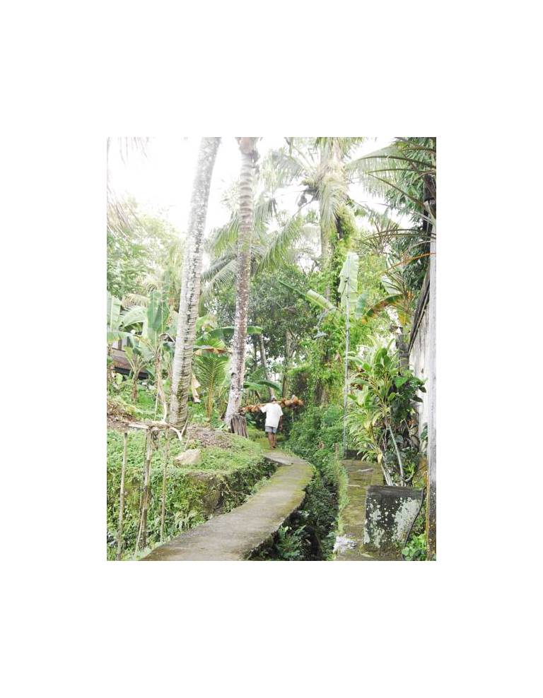 Villa Puja Ubud 