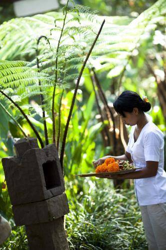 Bali Jiwa Villa  4* Индонезия, Паянган