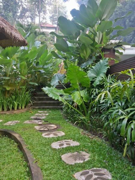 The Luku Villa  4*