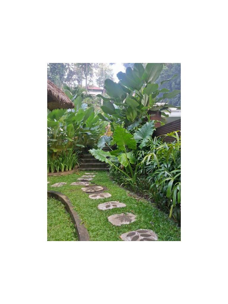 The Luku Villa 