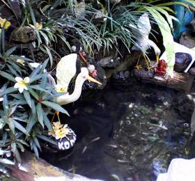 Отдых в Arjuna Homestay Ubud - Индонезия, Убуд