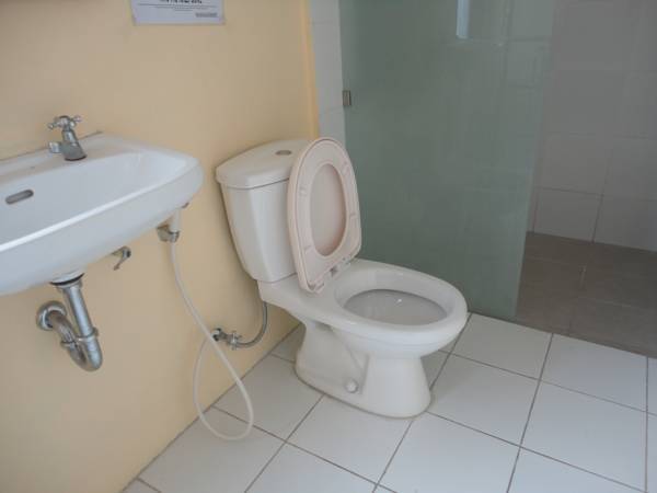 Wayan Mansion  1* Индонезия, Денпасар