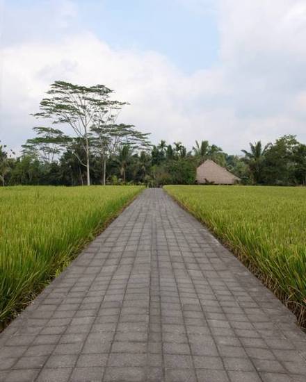 Villa Samaki  4* Индонезия, Убуд