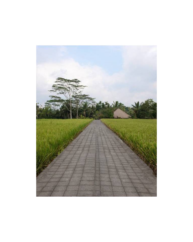 Villa Samaki 