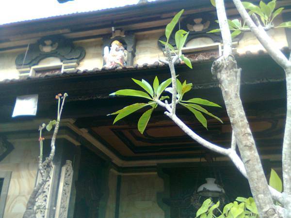 Inten House 1* Индонезия, Убуд