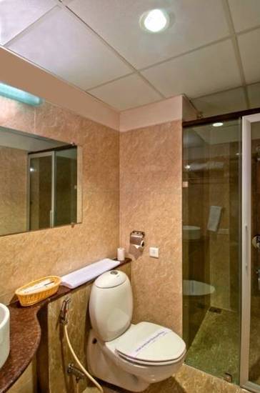 Treatotel  3* Индия, Ахмадабад