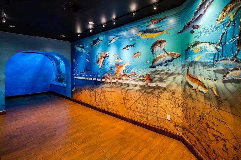 Guy Harvey Outpost - A TradeWinds Beach Resort 