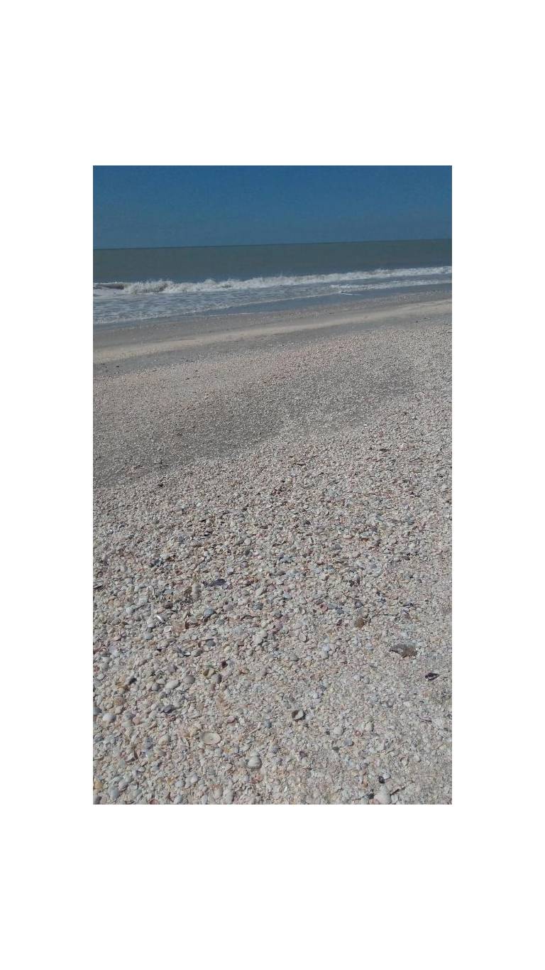 Tropical Winds Beachfront Motel and Cottages 