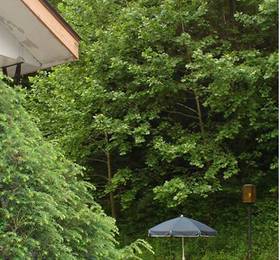 Туры в Roaring Fork Motel and Cottages  в США