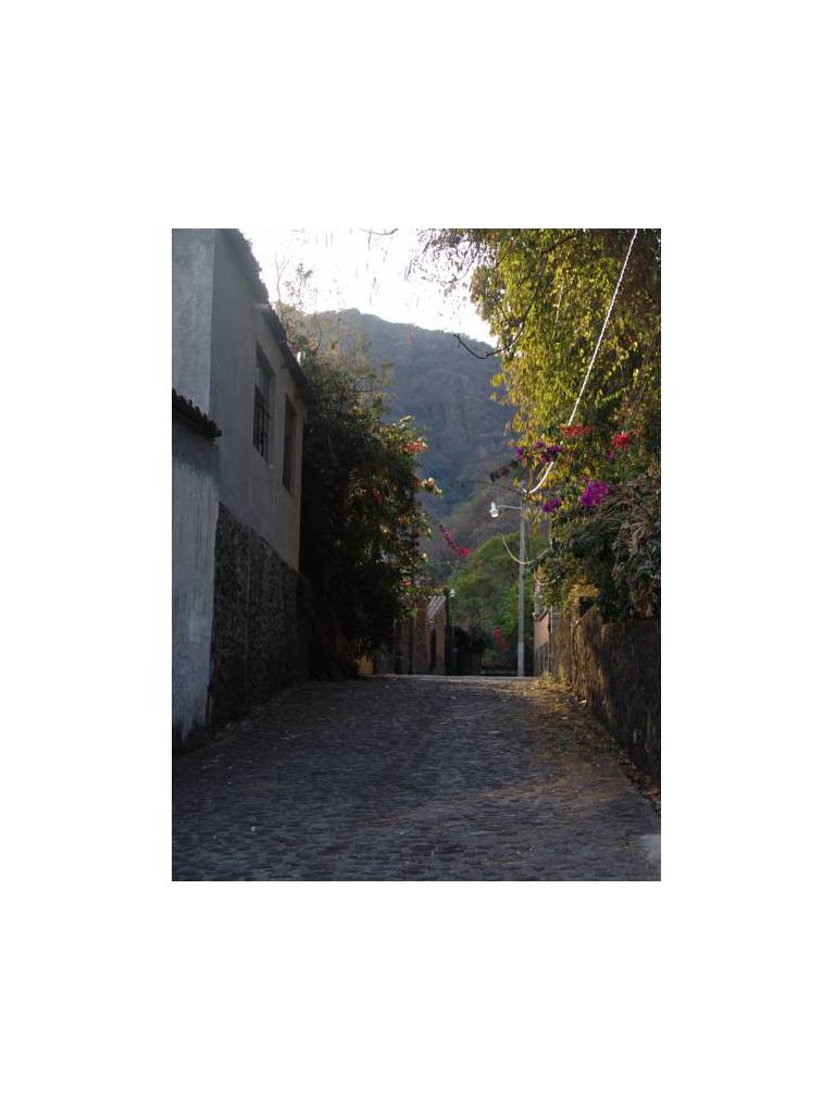Bungalow Mistico de Tepoztlan 