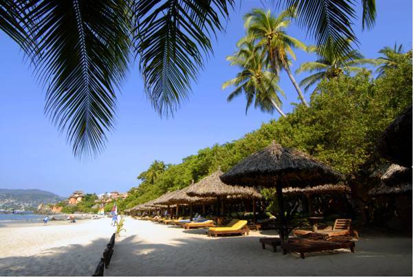 Hotel Catalina Beach Resort Мексика, Сиуатанехо