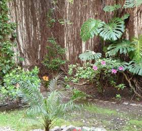 Туры в Baires Soho Bed & Breakfast  в Аргентине