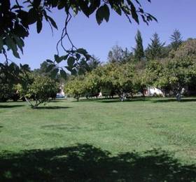 Туры в Hotel Rancho Las Margaritas  в Мексике