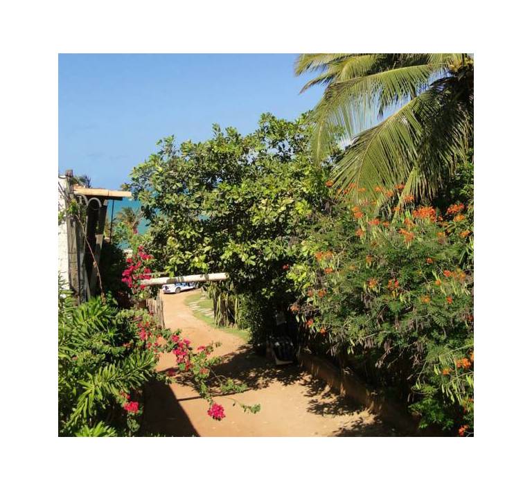 Zicatela Hostel & Surfcamp 