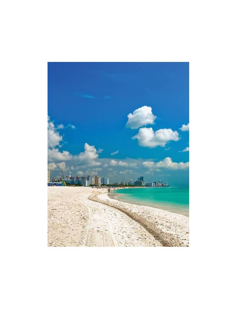Carlton Hotel South Beach 