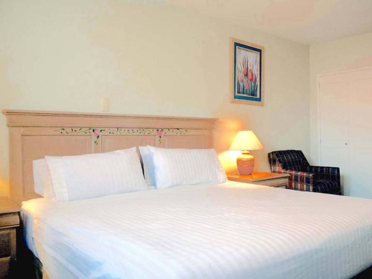 Biohotel Boutique Metepec 