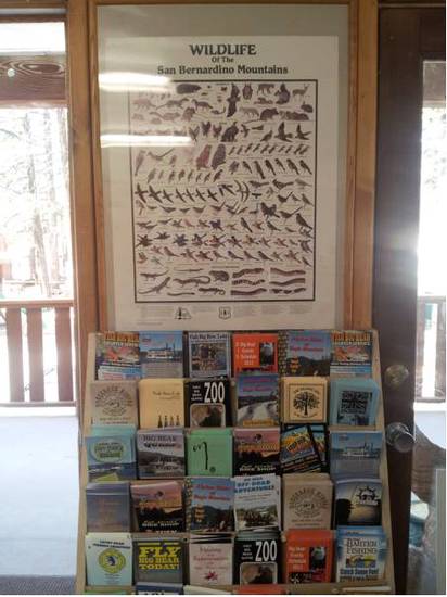 Honey Bear Lodge & Cabins  3* США, Биг-Беар-Лейк