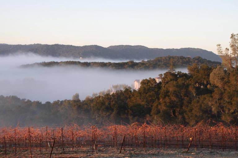 Croad Vineyards - The Inn 