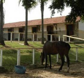 Отдых в Hotel Fazenda Sete Lagos  - Бразилия, Апаресида