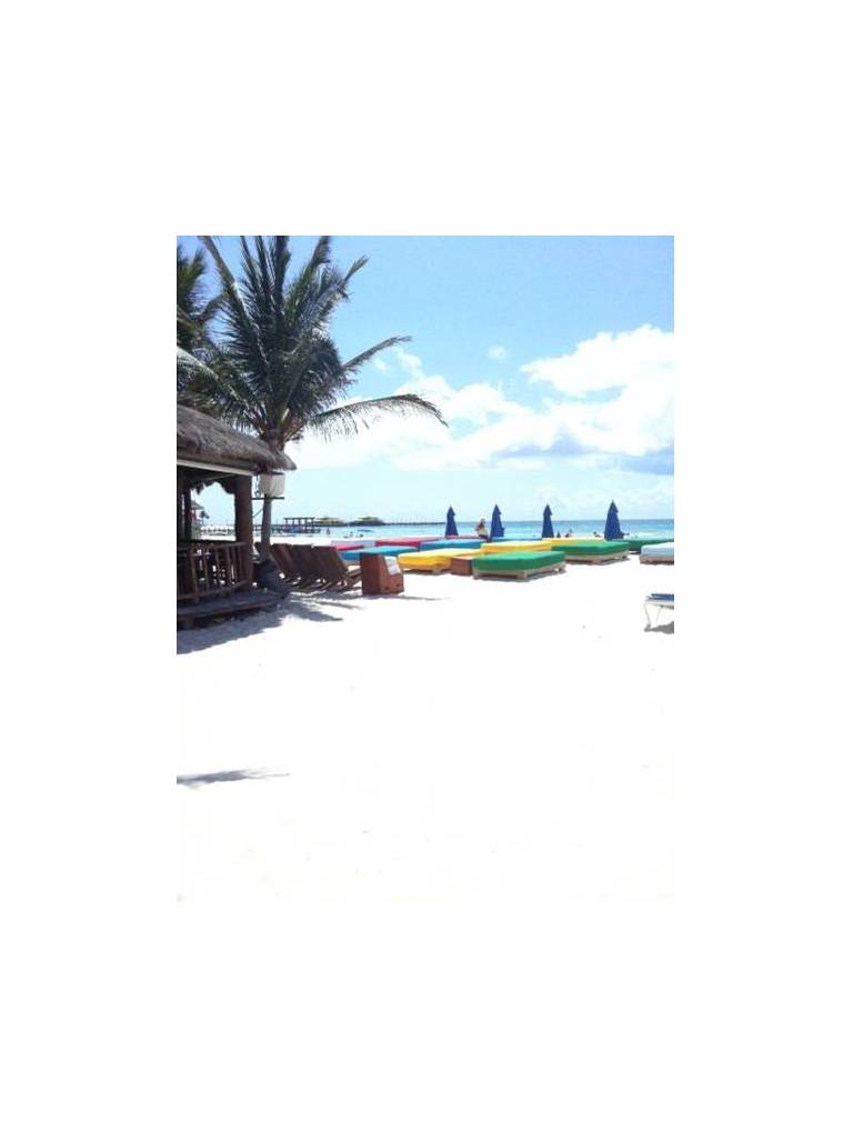 Blue Parrot Suites Hotel 