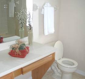 Туры в Regal Palms Resort & Spa  в США