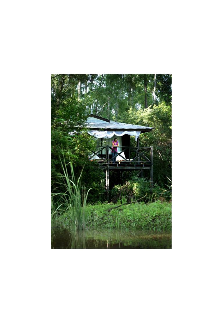La Becasina Delta Lodge 