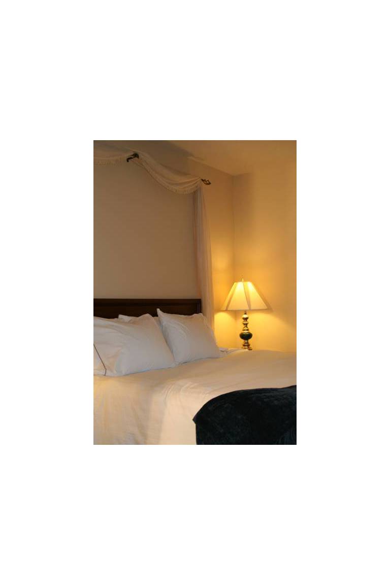 The Ashley Inn & Suites 