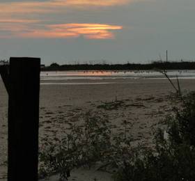 Affordable Beach Condos  в Треже-Айленде
