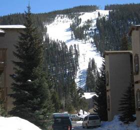 Туры в Snowdance Condominiums  в США