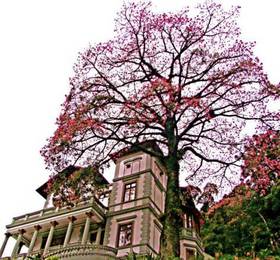 Отдых в Pousada Monte Castelo  - Бразилия, Петрополис