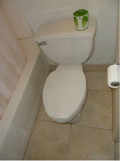 American Inn & Suites  2* США, Ориндж