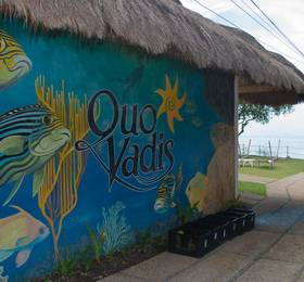 Туры в Quo Vadis Dive Resort  в Филиппинах