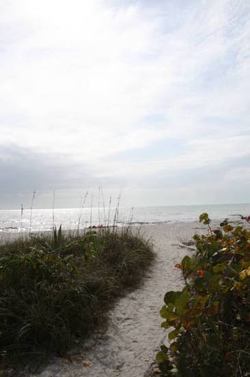 Sea Shells of Sanibel  4* США, Санибел