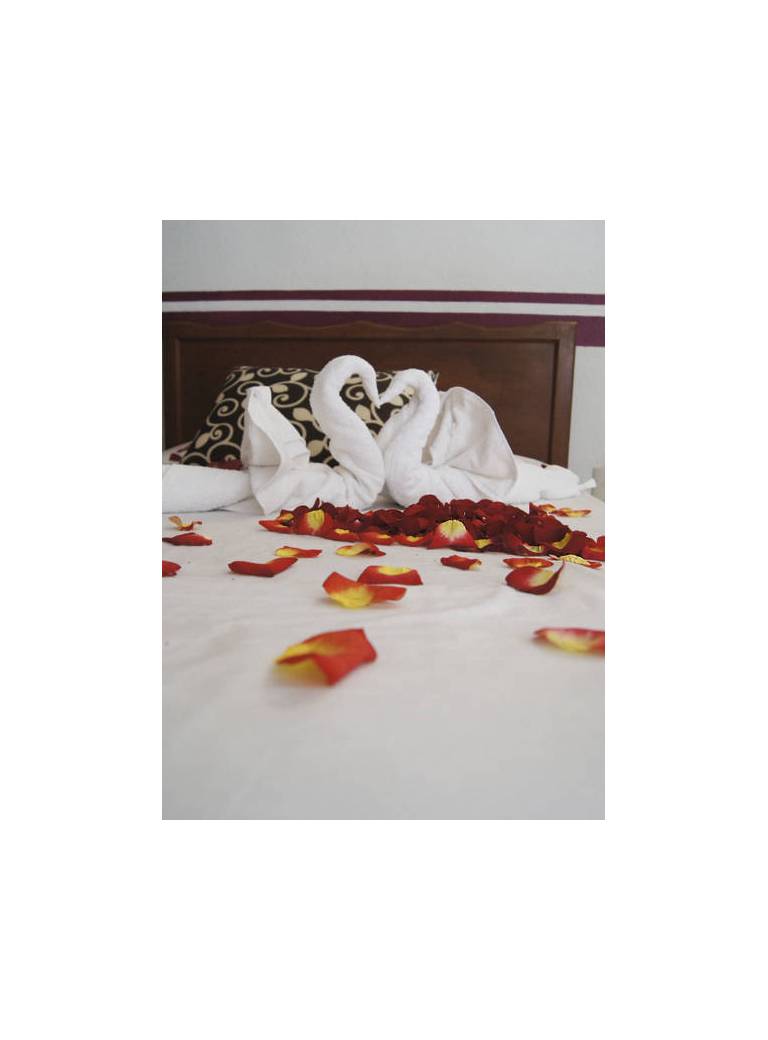 Hotel Posada Dianita 