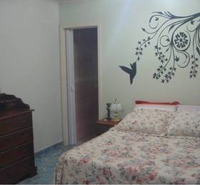 Туры в Amazonas Guest House  в Бразилии