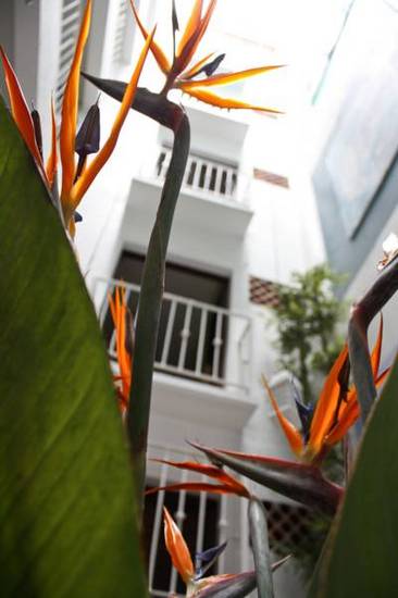 Belmar Hotel Galeria 2* Мексика, Пуэрто-Вальярта