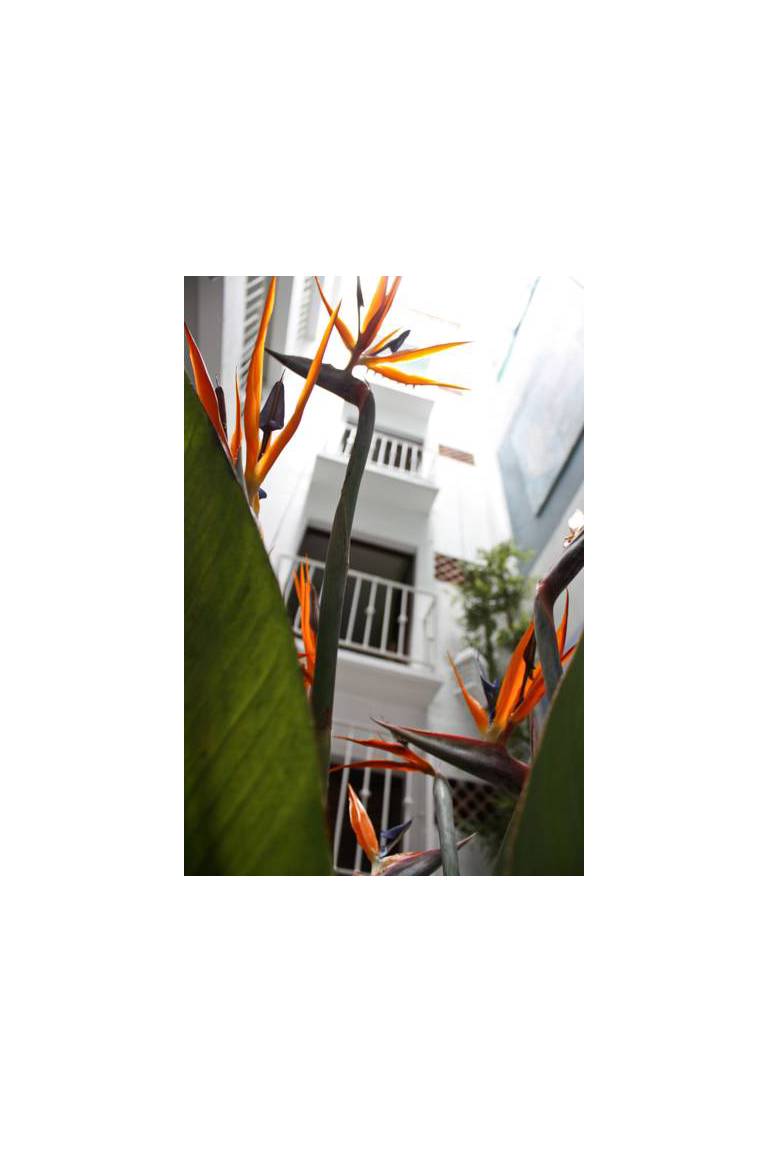Belmar Hotel Galeria 