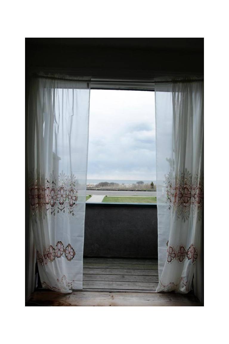 The Buckingham Motel 