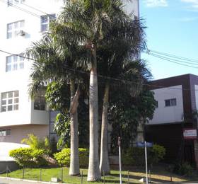 Central Parque Hotel  в Позу-Алегри
